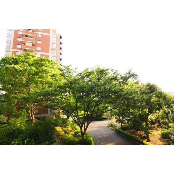 南港はなのまち住宅３１号棟 外観