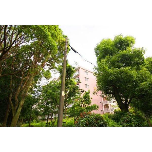 南港はなのまち住宅３１号棟 外観