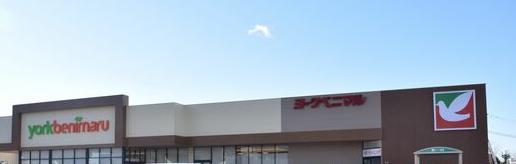 ヨークベニマル今泉店：235m