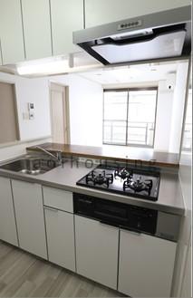 テラスハウス泉が丘（203） 部屋画像