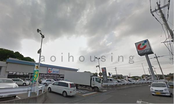 カワチ薬品三の沢店：1324m