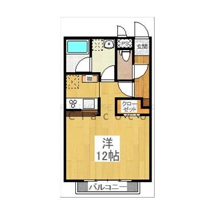 南向き！1R