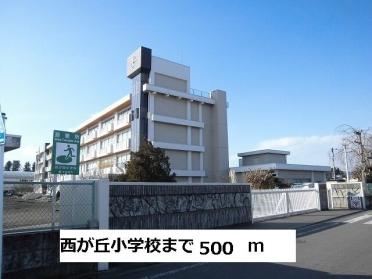 西が丘小学校：500m