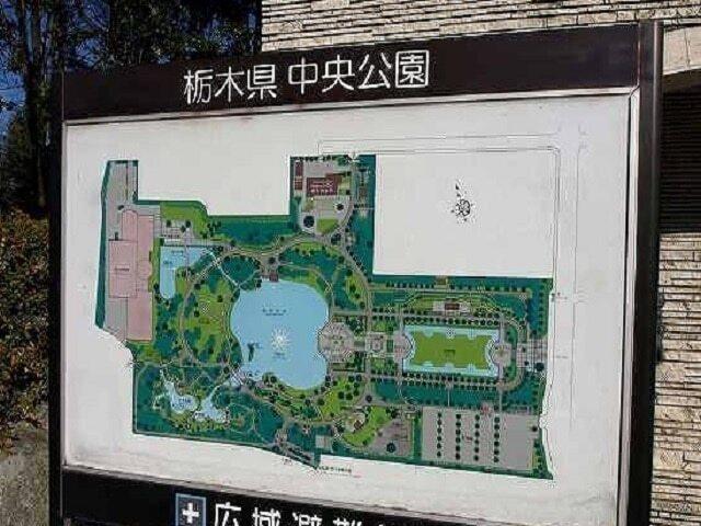 中央公園：500m