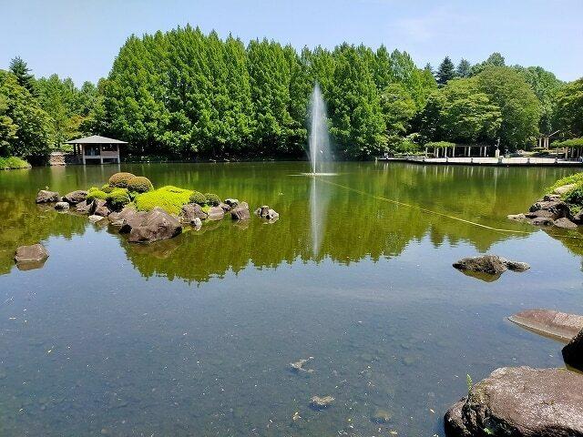 中央公園：320m