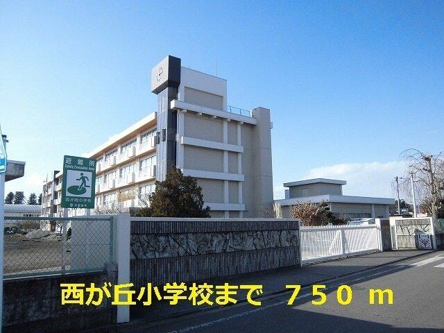 西が丘小学校：750m