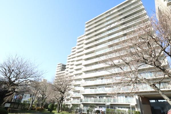 目の前を遮る髙い建物がないので、見晴らし