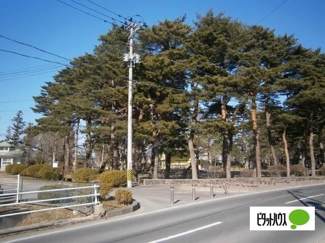 荒雄公園：239m