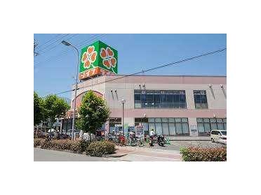 ライフ崇禅寺店：801m