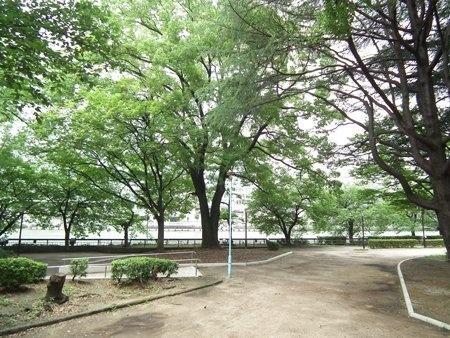 南天満公園：797m