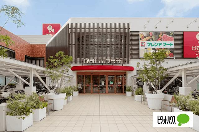 フレンドマートかみしんプラザ店：730m