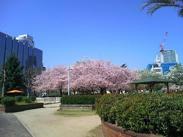 周辺環境画像