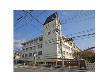 神戸市立六甲小学校：180m