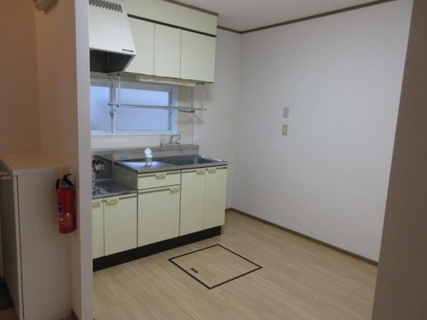 ダイチヒルズ菜根（101） キッチン