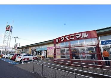 ヨークベニマル荒井店：200m