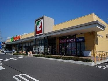 ヨークベニマル日和田店：1100m