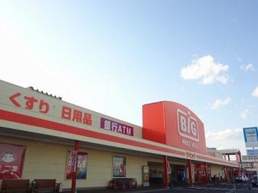 ザ・ビッグ郡山店：250m