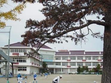 郡山市立行健小学校：253m