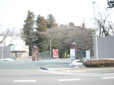 私立日本大学工学部：1023m