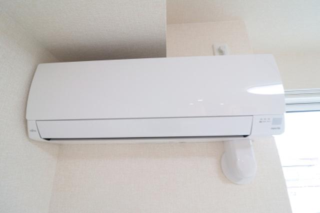 セレスティア昭和（305） 部屋画像