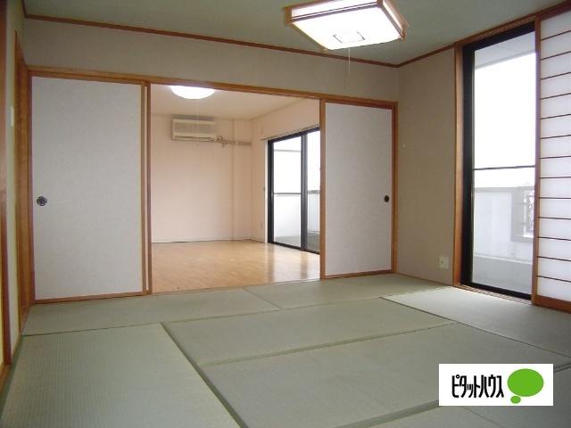 ダイチパレス菜根（302） その他