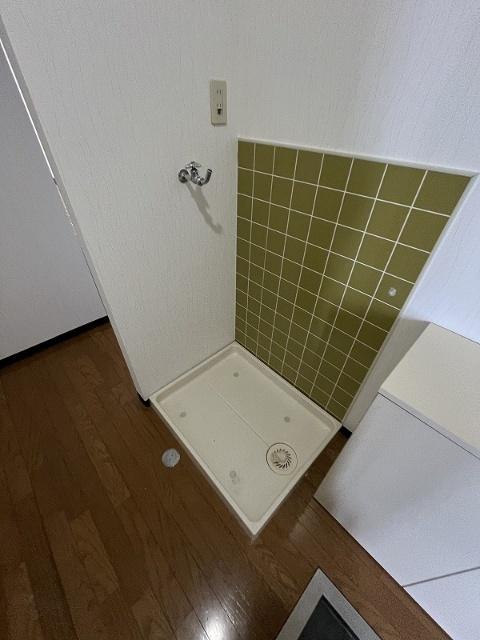 ヤングクローネ（501） その他