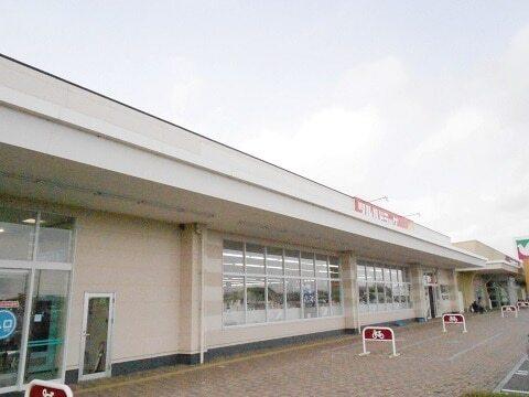 ツルハドラッグ郡山片平店：400m
