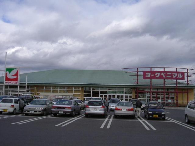 ヨークベニマルコスモス通り店：859m