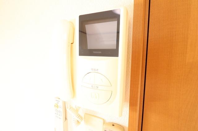 パセオティグル　Ｂ（206） 部屋画像