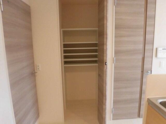 Ｄ−ｒｏｏｍ横塚（205） 収納