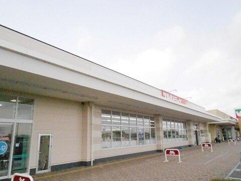 ツルハドラッグ郡山片平店：450m