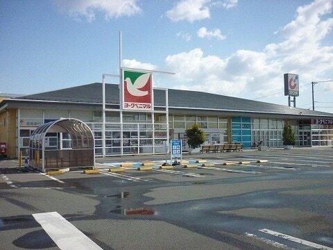 ヨークベニマル コスモス通り店：700m