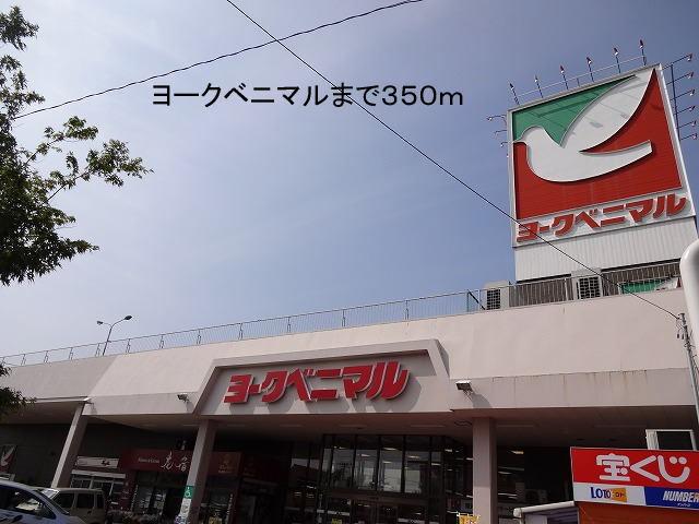 ヨークベニマル：350m