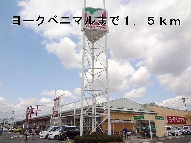 ヨークベニマル：1500m