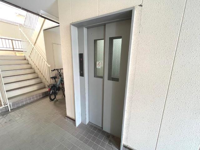 ヤングクローネ（501） その他