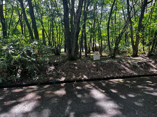 しゃくなげ平第二別荘地 土地