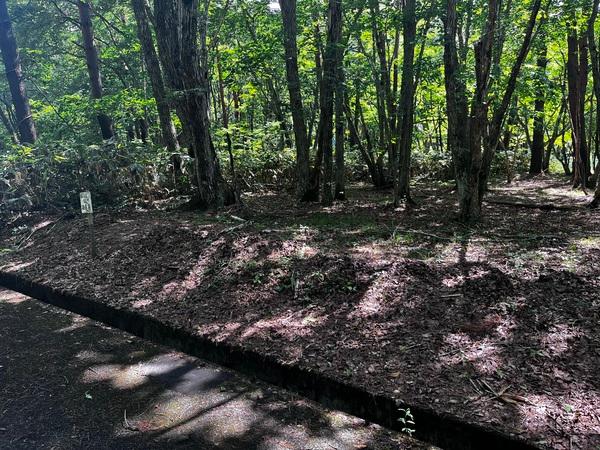 しゃくなげ平第二別荘地 土地画像
