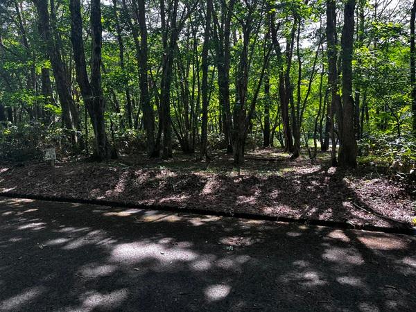 しゃくなげ平第二別荘地 土地画像
