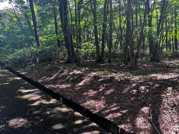 しゃくなげ平第二別荘地 土地画像