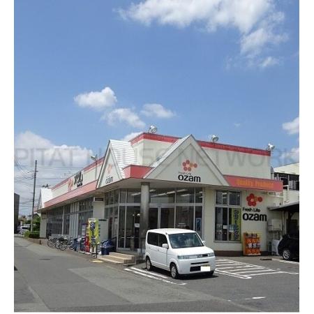 スーパーオザム：600m