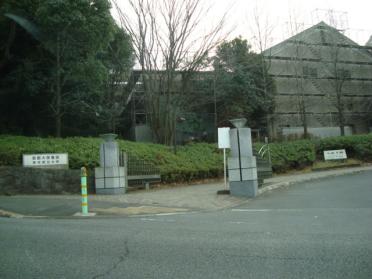 首都大学東京：2000m