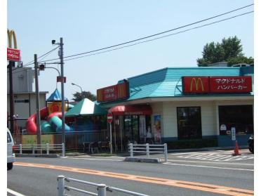 マクドナルド（飲食店）：494m