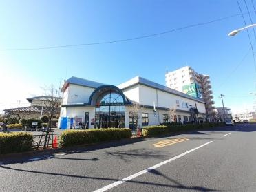 マルエツ足立入谷店：550m