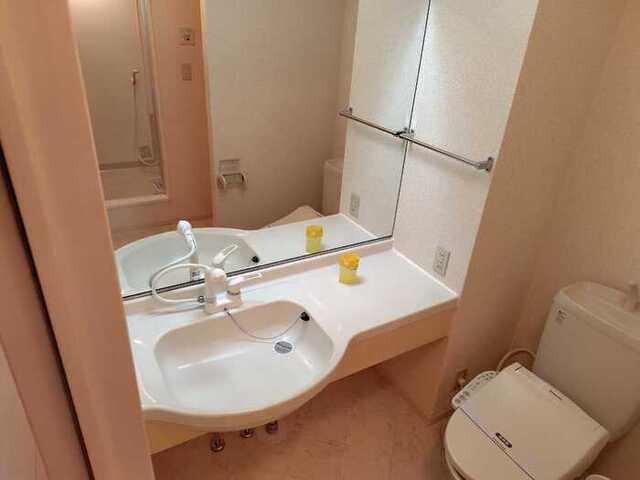ホワイトミーティア　ＡＢ（A105） 部屋画像
