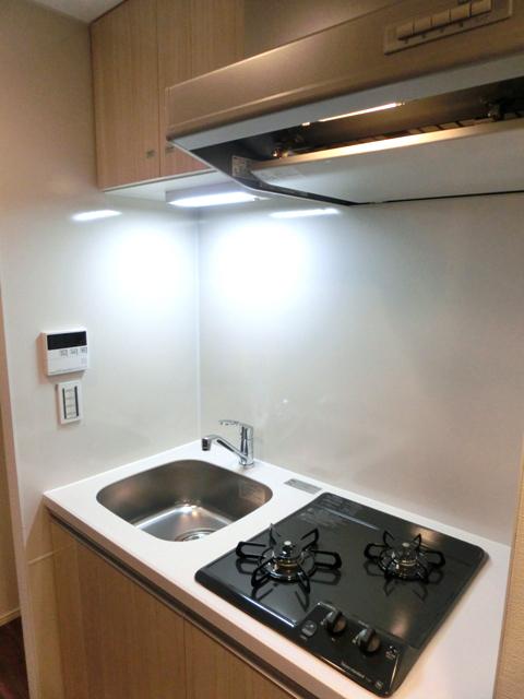 市谷仲之町ビューアパートメント（906） 部屋画像