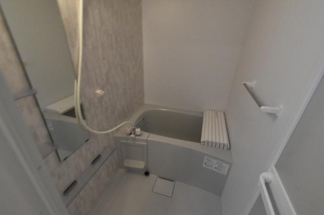 グレーヌメゾン（303） 部屋画像