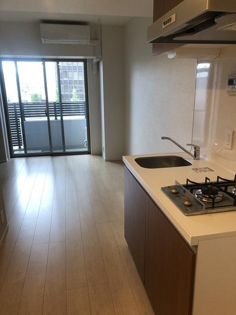 パークナードフィット南青山Ｖｉｓｔａ（505） 部屋画像