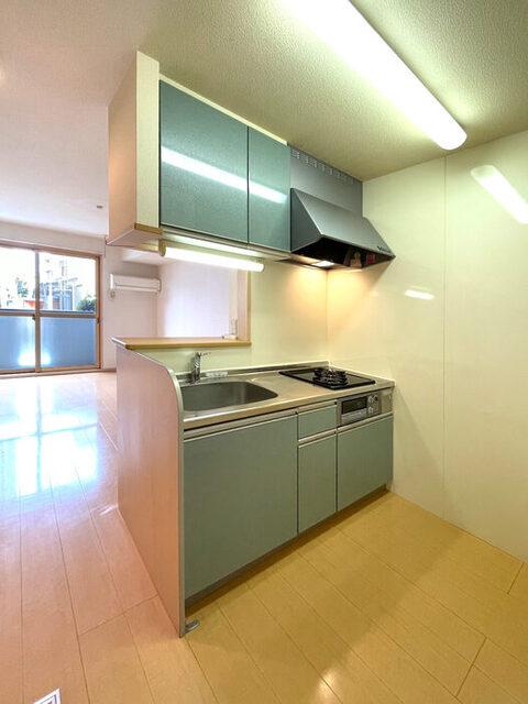 リーテリア南水元（102） 部屋画像
