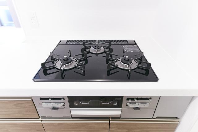 ベルファース錦糸町Ｓｏｕｔｈ（1005） 部屋画像