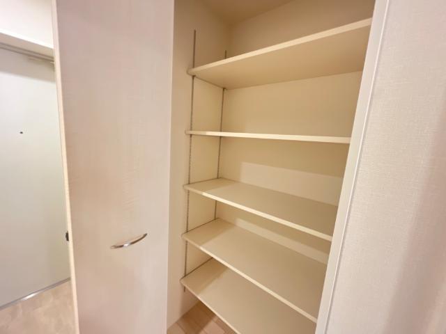 エクセレントタワー 収納